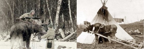 Ну а потом в армию или народное хозяйство!