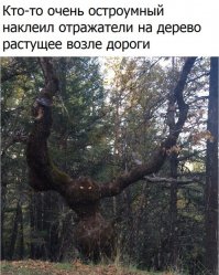 Свежая подборка автоприколов