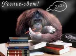 При возведении в квадрат, любое простое число уже перестает быть простым, т.е. появляется делитель (кроме самого себя и единицы).