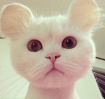 Добрый вечер!!!