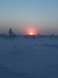 Пережили, сегодня в Урае (где "моржи купались"), -15, в шортах ходим. Самый пик морозов застал на работе. Работаю на промысле, в 10 утра -53, результат, обмороженное лицо и кончики пальцев. Но у нас еще ничего, задница была в Норильске.