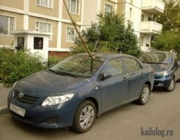 Теперь я знаю куда деть ёлку первого мая!!!