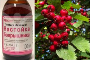 Правильная и неправильная настойки боярышника.