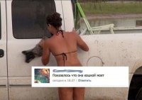 Действительно какая кошка, она рыбой моет!