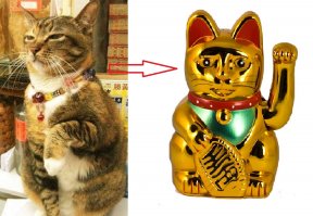 Круто! - живой манеки-неко