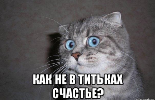 Milla Jovovich, декабрь 2016