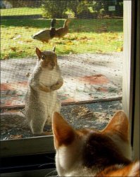 Добрый вечер!!!