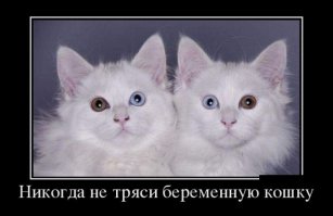 Добрый вечер!!!