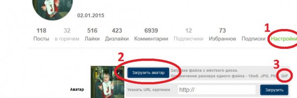 За новыми впечатлениями на лосиную ферму в Кострому. Ми-ми-мишность