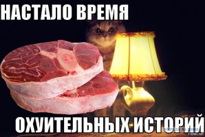 Сказ о двуличной бабке и бедном коте