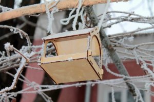 А я который год делаю кормушки - хоть бы одна падла прилетела!