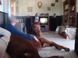 Ксюха? С мужем?