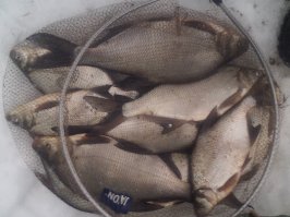 Вот позавчера нижняя Москва река.Лыткарино.