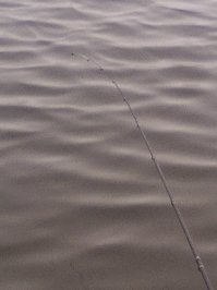 Вот позавчера нижняя Москва река.Лыткарино.