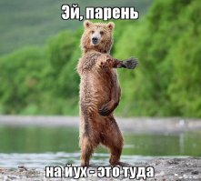 Если вы не сразу поймёте, что происходит на этом фото, вы счастливый человек