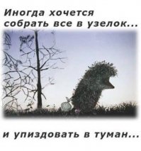 Куда мы катимся?