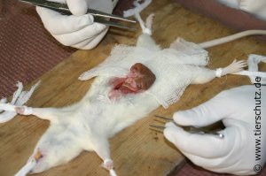 Истории врачей, Злой медик