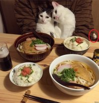 Понятно почему она его так встречает)