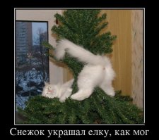 Миссия выполнена! Коты против новогодних ёлок