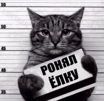 Миссия выполнена! Коты против новогодних ёлок