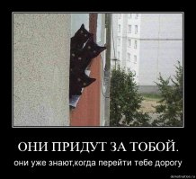 Миссия выполнена! Коты против новогодних ёлок