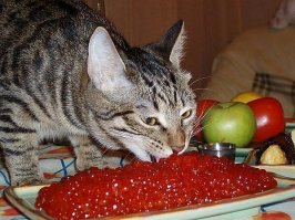 Подборка очень прикольных фотографии