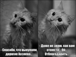 Красота требует жертв