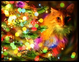 Миссия выполнена! Коты против новогодних ёлок