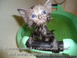 Красота требует жертв