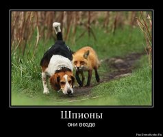 Среди нас шпион!