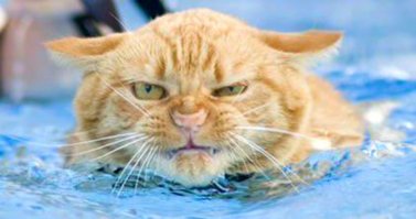 Красота требует жертв