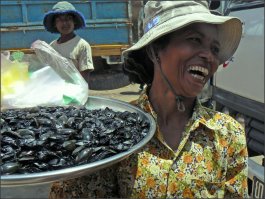 Суперхищники. Плавунец окаймленный