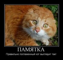 Красота требует жертв