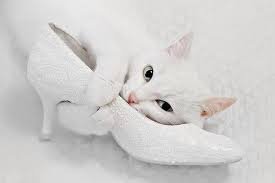 Красота требует жертв