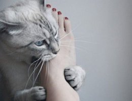 Красота требует жертв