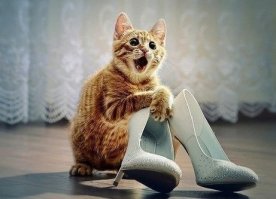 Красота требует жертв