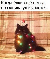 Прикольные фото на окончание выходных!