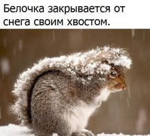 Прикольные фото на окончание выходных!