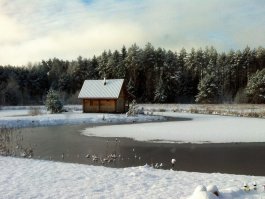 Попробуй, подними в городе голову...Поэтому и купил себе домик в деревне.