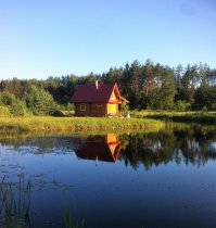 Попробуй, подними в городе голову...Поэтому и купил себе домик в деревне.
