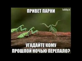 Не ждите инопланетян - они уже давно на планете