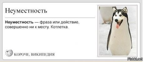 Авария дня. В любой непонятной ситуации, рули на встречку