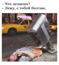 25 смешных собак в фотоподборке "Я и похмелье"