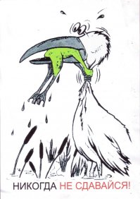 Летучая лисица смогла выбраться из смертельных объятий питона