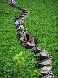 Мосты, с которыми что-то пошло не так