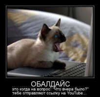 Прикольные фото на окончание выходных!