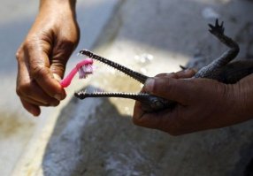 Подборка смешных фото