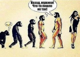 Прикольные картинки из сети