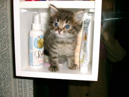 Моя малявка