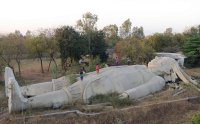 Прикольные картинки из сети